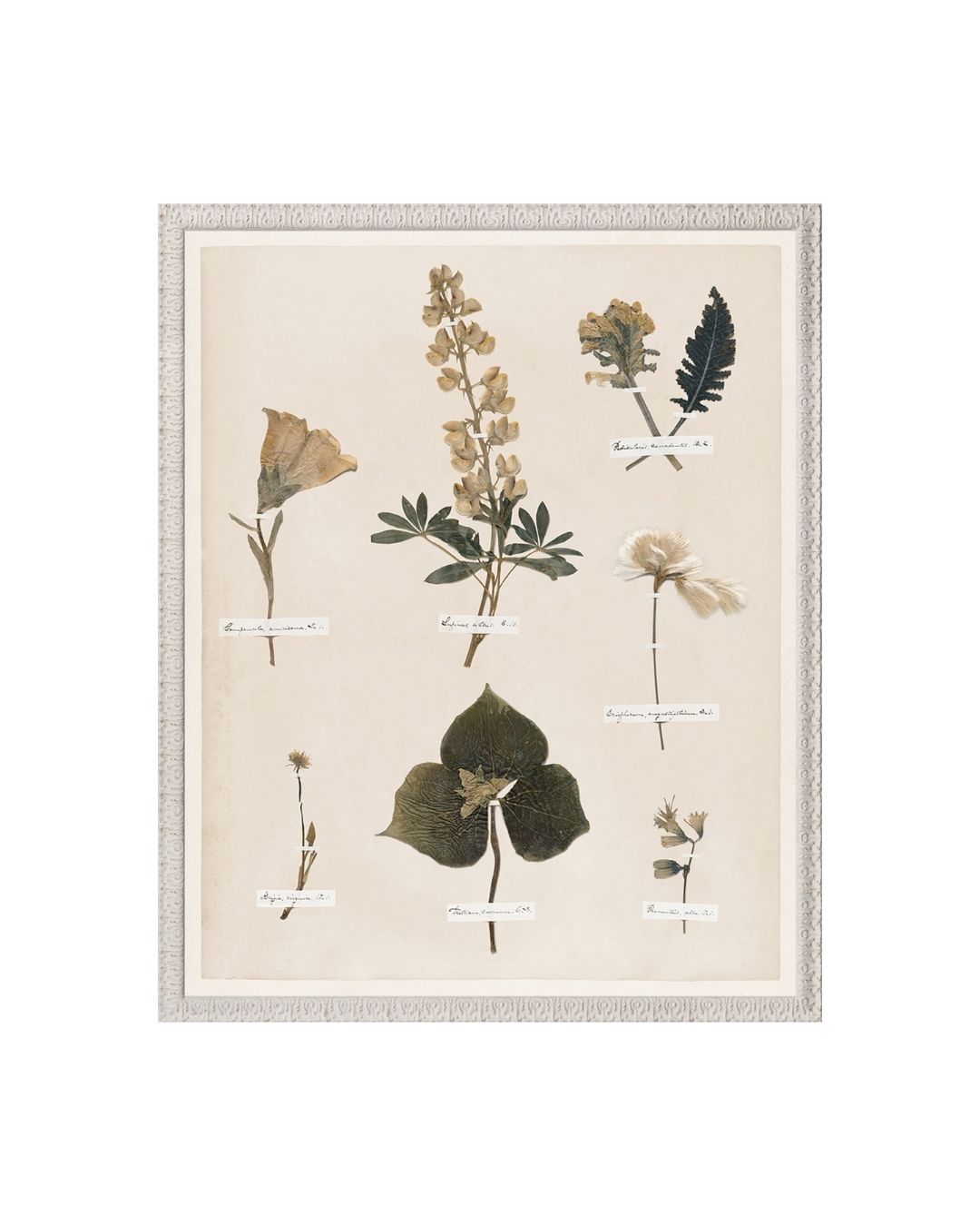 Emily's Pressed Garden
