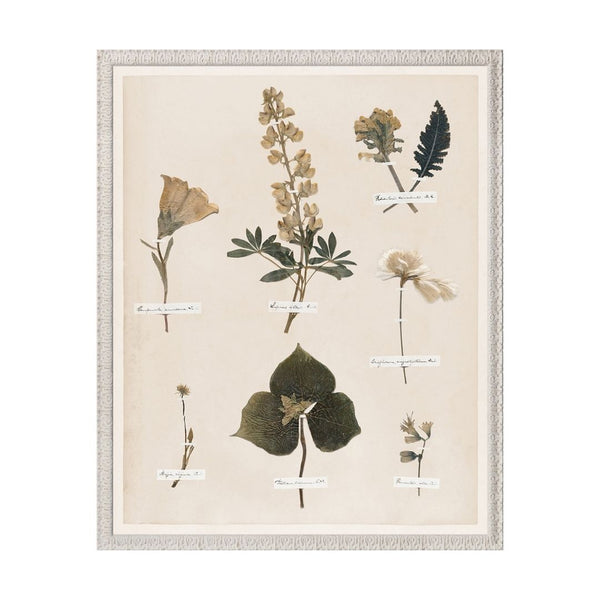 Emily's Pressed Garden