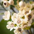 Eucalyptus Floral Wreath