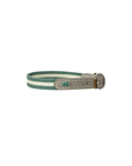 Fern Stripe Dog Collar