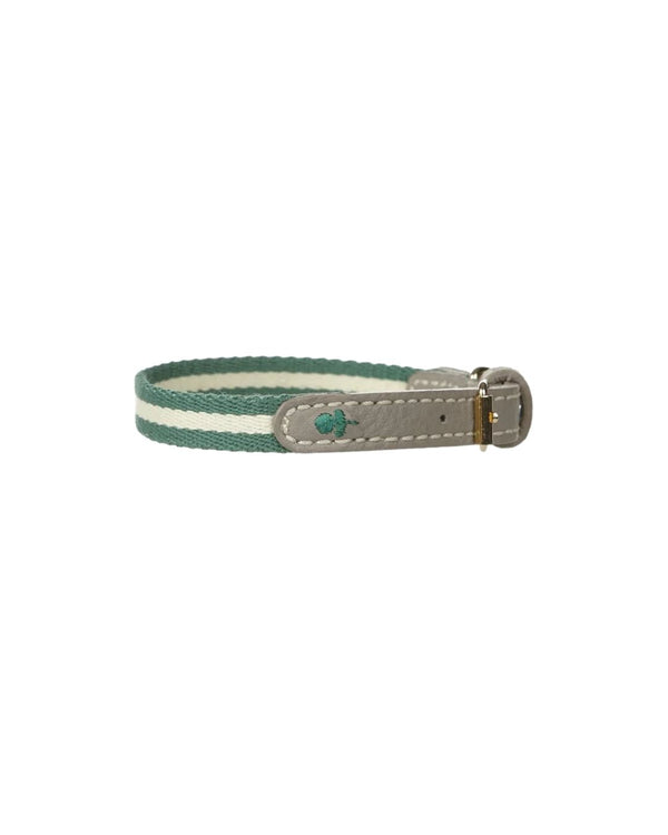 Fern Stripe Dog Collar