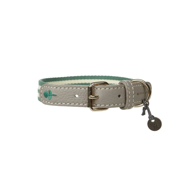 Fern Stripe Dog Collar
