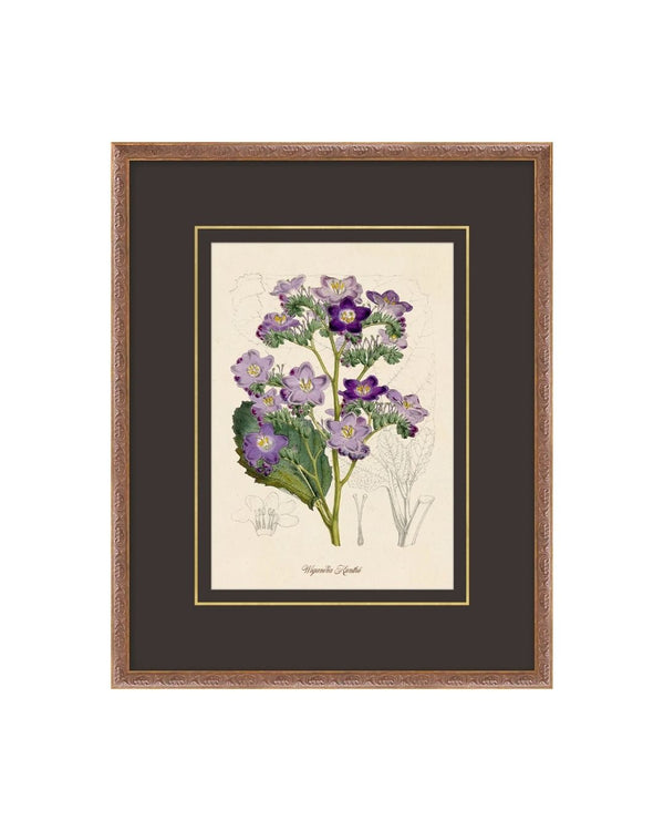 Flora Study I