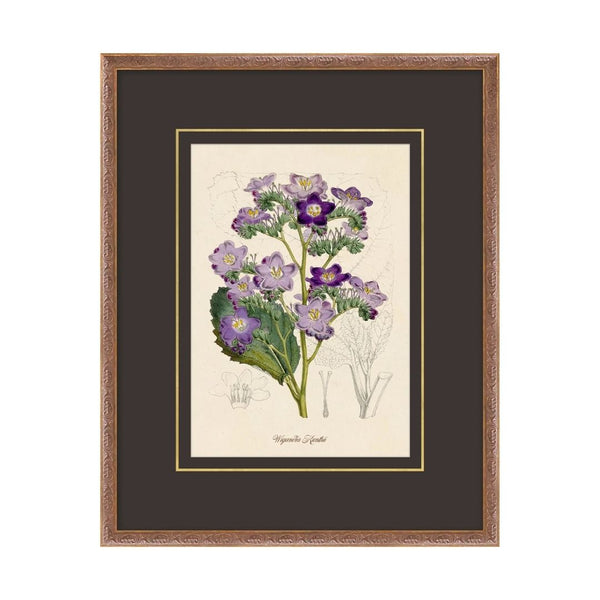 Flora Study I