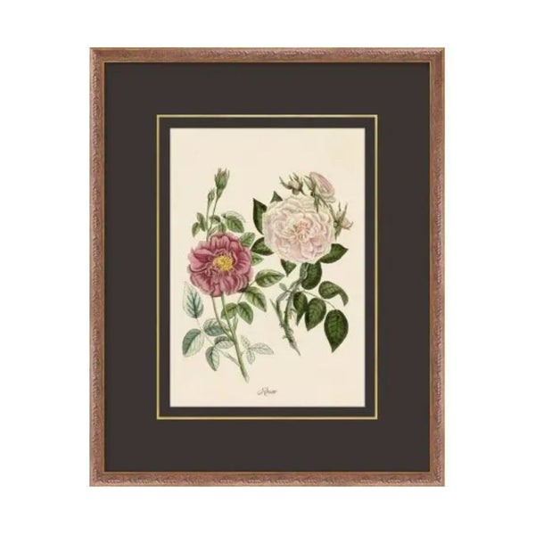 Flora Study VI