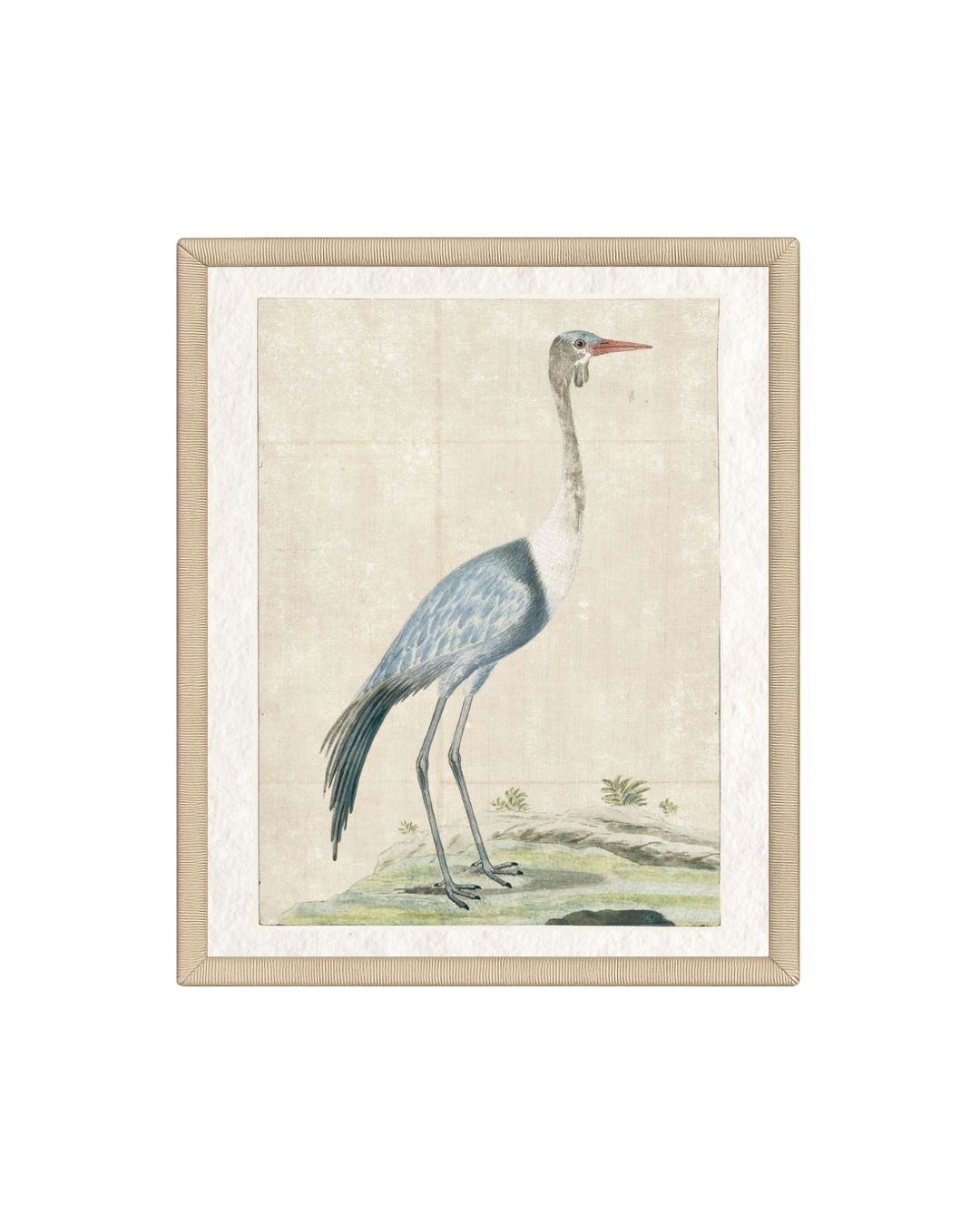 Coastal Avian Art No. 2