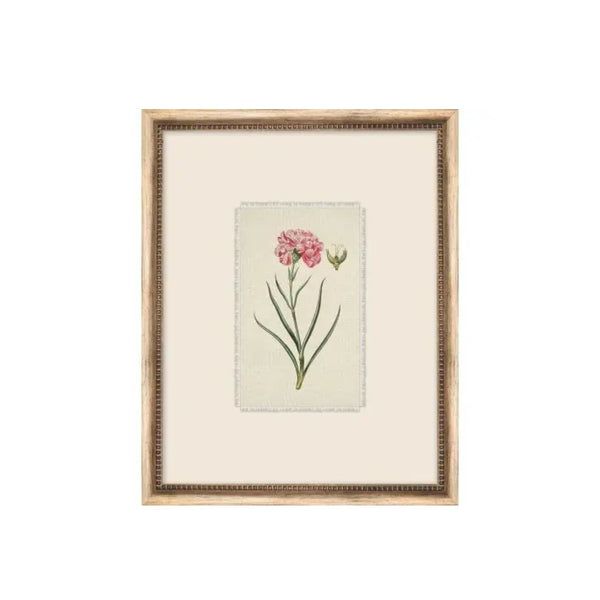 Treillage Botanical VII