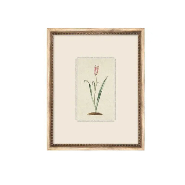 Treillage Botanical V