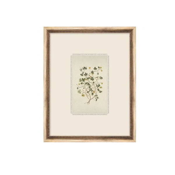 Treillage Botanical IX