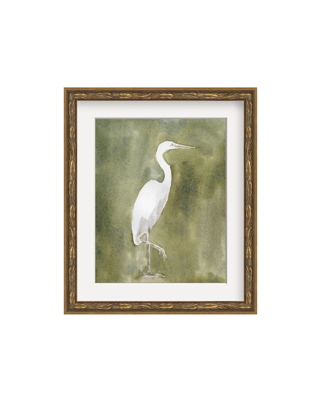 Garden Heron