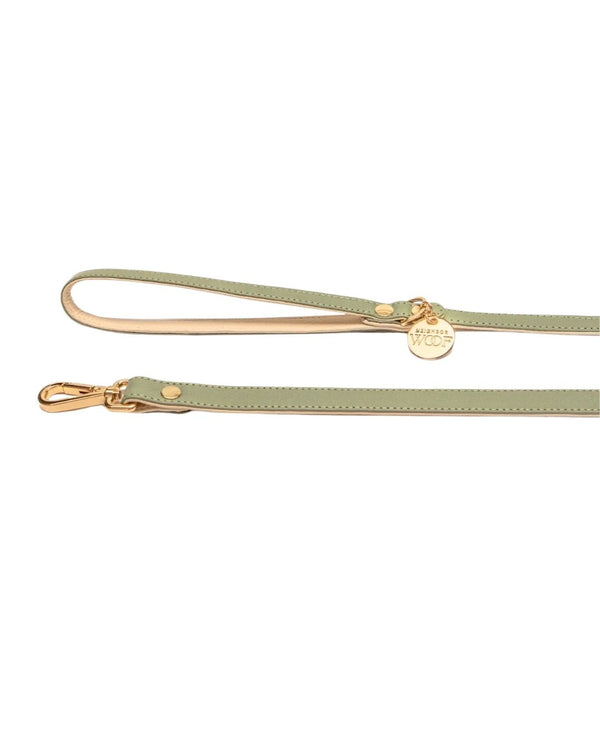 Golden Hour Leash
