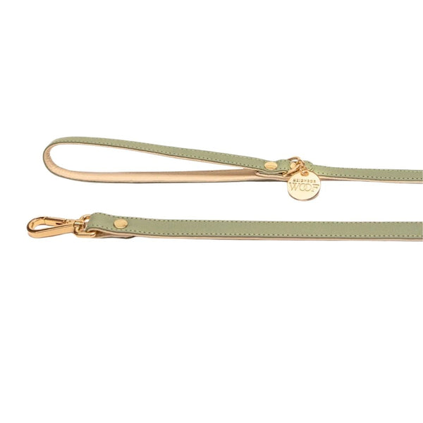 Golden Hour Leash