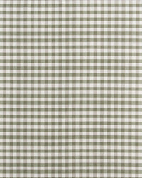 Grass Gingham Fabric
