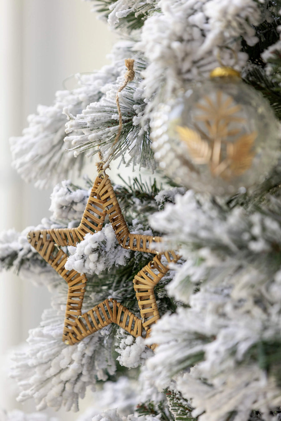 Rattan Star and Tree Ornament Set