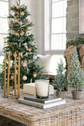 Potted Tree Set