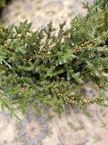 Seeded Juniper Berry Wreath