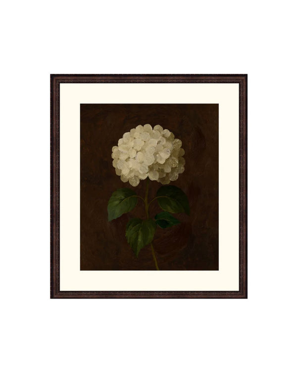 Ivory Solitude Botanical II