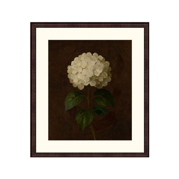 Ivory Solitude Botanical II