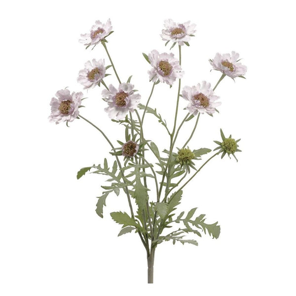 Lavender Meadow Stem