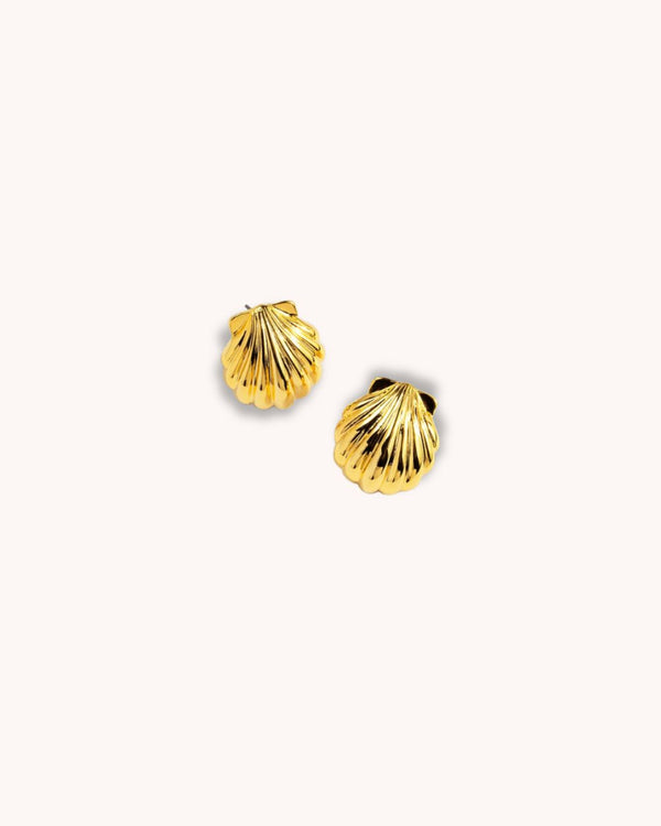 Lido Shell Studs