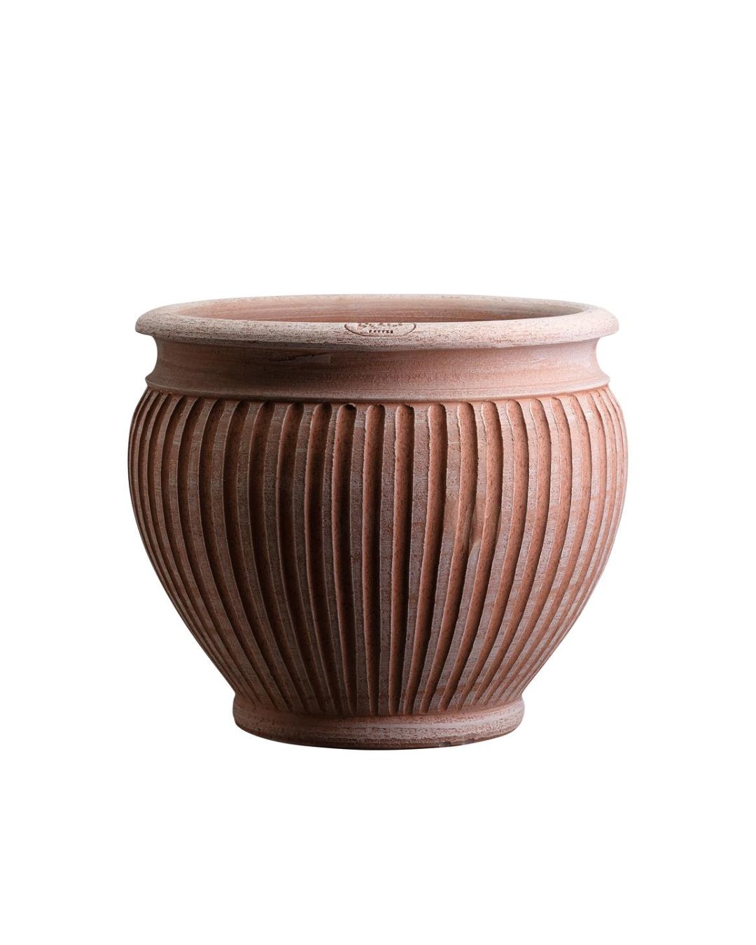 Lucina Pot - Medium