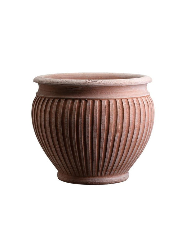 Lucina Pot - Medium