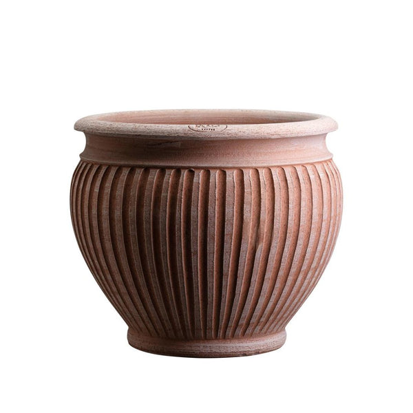 Lucina Pot - Medium