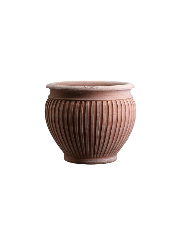 Lucina Pot - Small