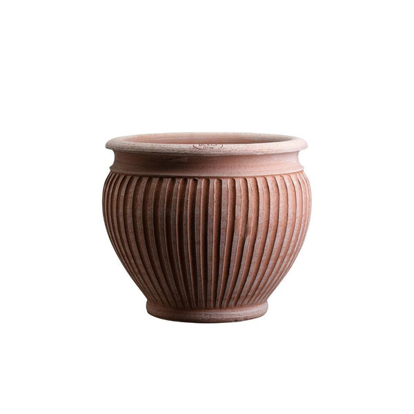 Lucina Pot - Small