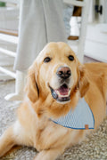 Sailor Stripe Bandana