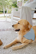 Sailor Stripe Bandana
