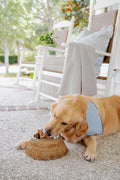 Honey Rattan Dog Bowl