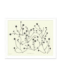 Modern Floral Study