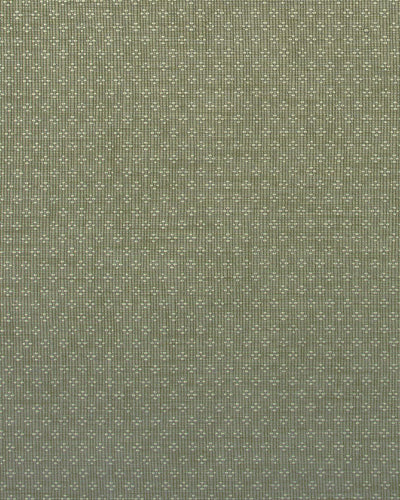 Moss Primrose Dot