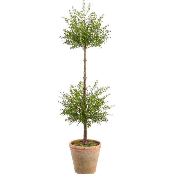Oversized Myrtle Double Topiary
