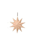 Painted Holiday Star Ornament in Soft Coral