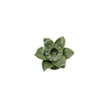 Palmetto Taper Candle Holder