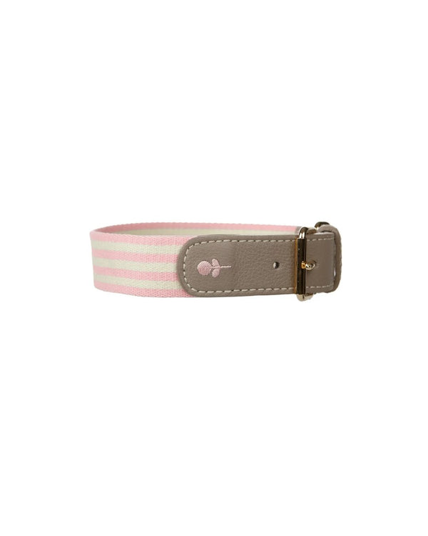 Peony Stripe Dog Collar
