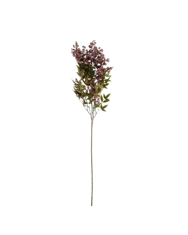 Plum Berry Spray