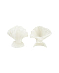 Ivory Shell Bookends