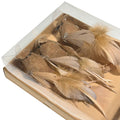 Camel Feather Bird Ornament Set