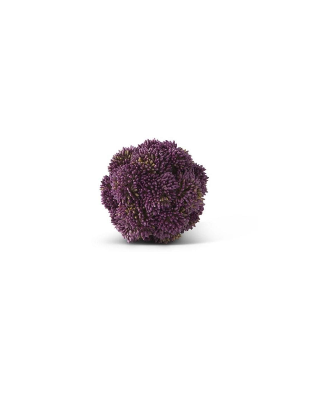Purple Sedum Orb