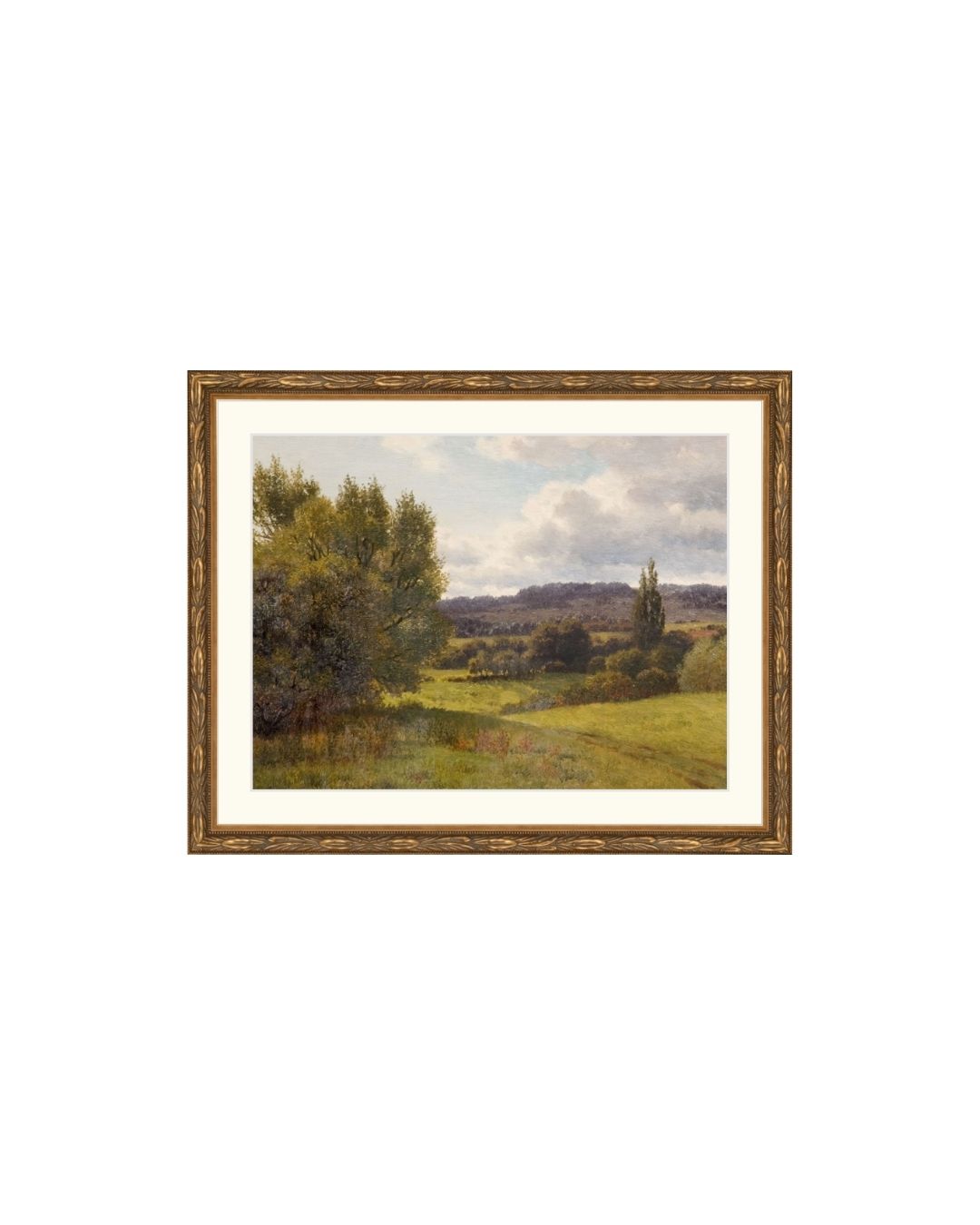 Rowen Hill Landscape
