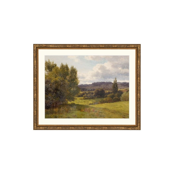 Rowen Hill Landscape