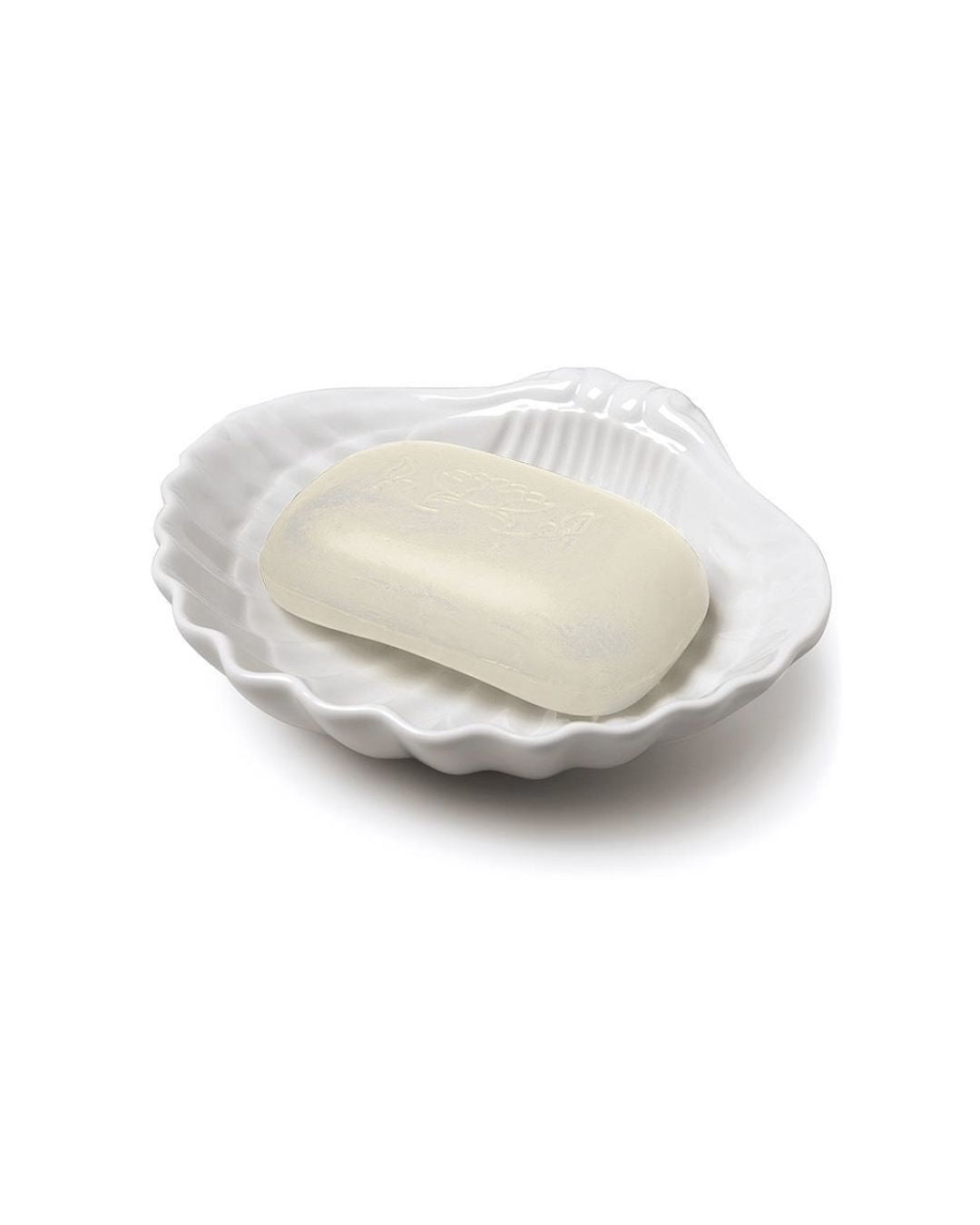 Shell Dish
