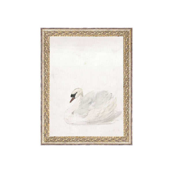 Sitting Swan Art