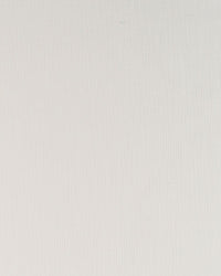 Snow Meridian Fabric