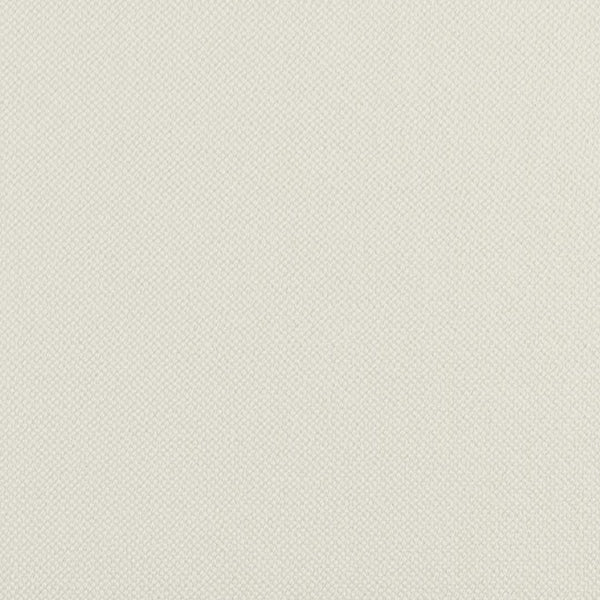 Snow Pin Dot Fabric