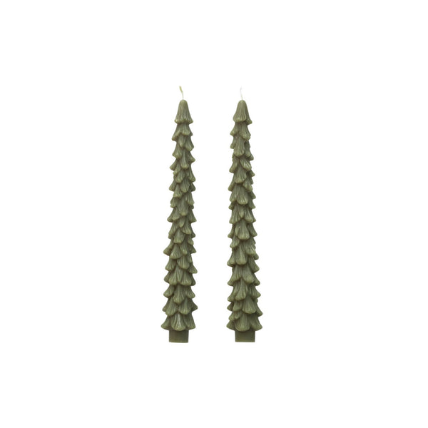 Spruce Tree Taper Candle Set