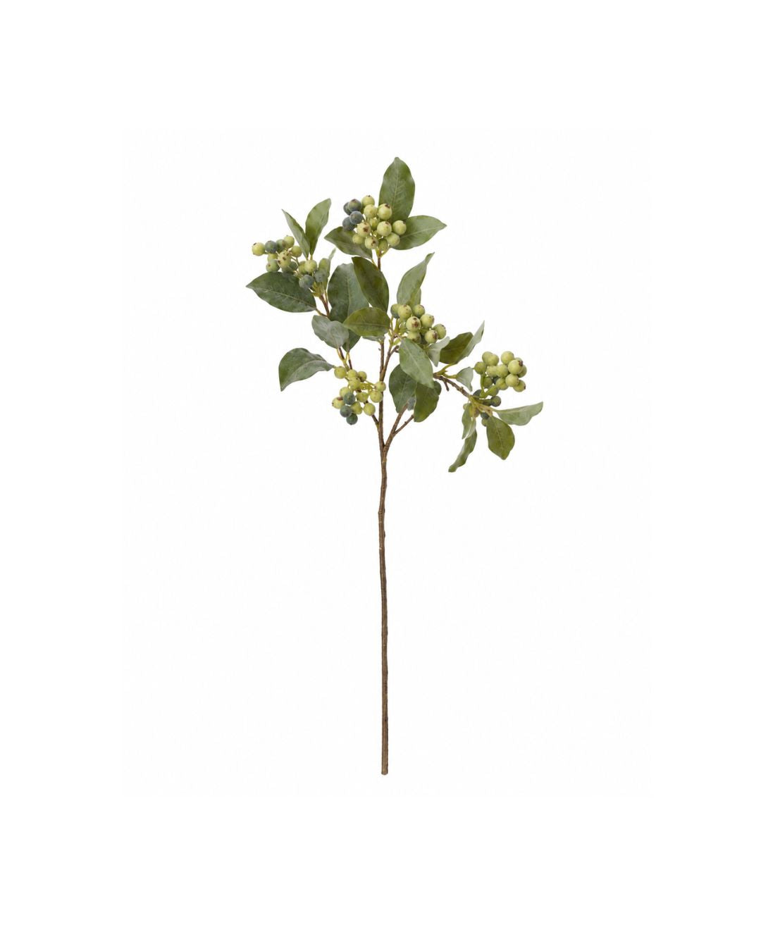 Stoneberry Stem